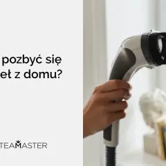 Para pozbyć się pcheł z domu, użyj parownicy Steamaster. Gorąca para zabija niechcianych gości.