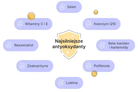 Najsilniejsze antyoksydanty w kosmetykach: witaminy C i E, selen, koenzym Q10, beta-karoten, reswerweratrol, polifenole, luteina, zeaksantyna.