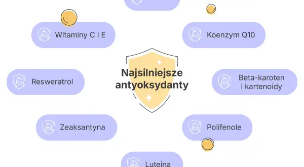 Najsilniejsze antyoksydanty w kosmetykach: witaminy C i E, selen, koenzym Q10, beta-karoten, reswerweratrol, polifenole, luteina, zeaksantyna.