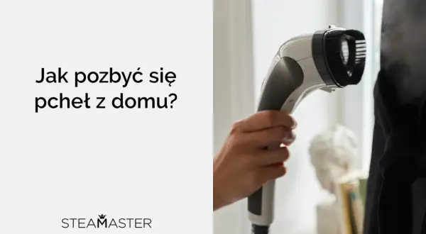 Para pozbyć się pcheł z domu, użyj parownicy Steamaster. Gorąca para zabija niechcianych gości.