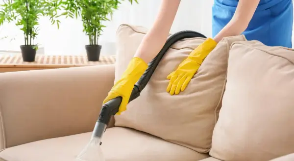 Osoba w żółtych rękawiczkach czyści beżową kanapę materiałową odkurzaczem piorącym. W tle rośliny.