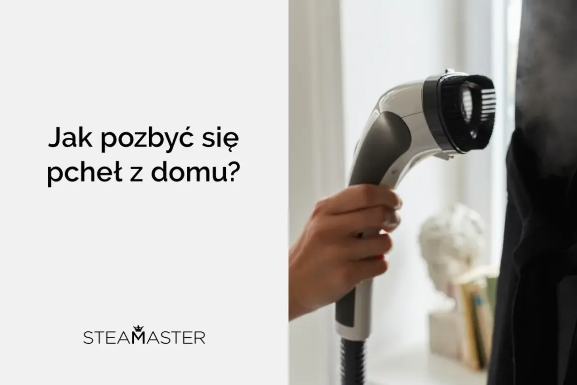 Para pozbyć się pcheł z domu, użyj parownicy Steamaster. Gorąca para zabija niechcianych gości.