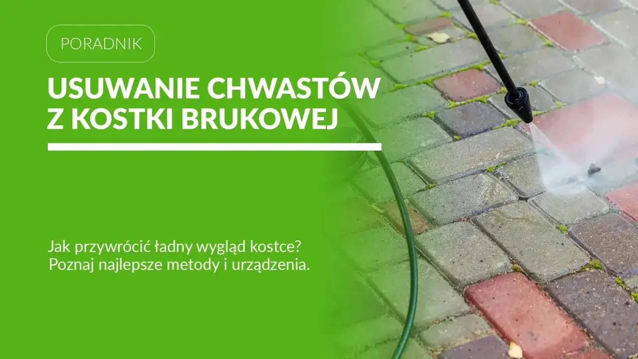 Usuwanie chwastów z kostki brukowej za pomocą myjki ciśnieniowej. Przywróć jej piękny wygląd!