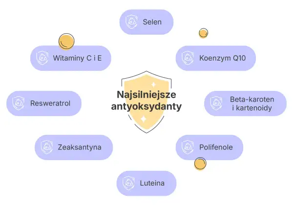 Najsilniejsze antyoksydanty w kosmetykach: witaminy C i E, selen, koenzym Q10, beta-karoten, reswerweratrol, polifenole, luteina, zeaksantyna.
